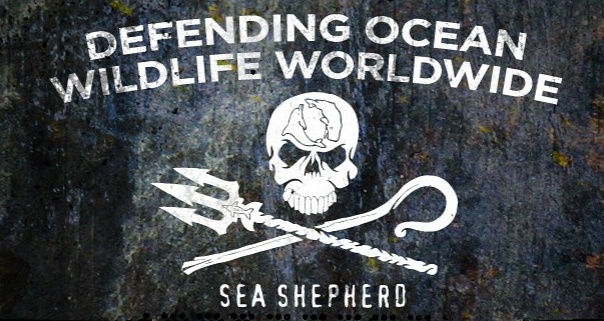 kunneke_whale_wars_sea_shepherd_eco1