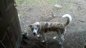 ©Crystal S. Kauffman