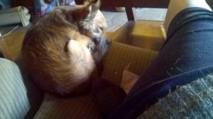 ©Crystal S. Kauffman